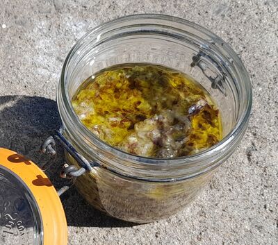 caviar algues